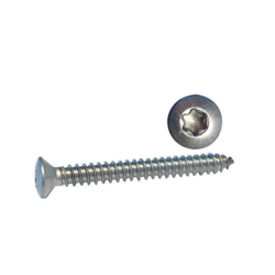 Skrue linsehoved 3.5 x 13 a4 torx din